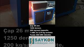 Tunnel Induction Heating Machine With 125 Kva Insulation Transformer