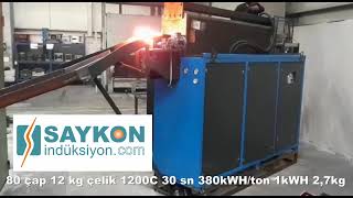 Tunnel Induction Heating With 600 Kva Insulation Transformer