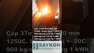 400 Kva Tünel İndüksiyon Isıtma Makinesi İzole Trafolu Voltaj Ara Devreli Yüksek Frekans