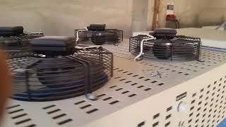 DRYING OVEN BELT OVEN