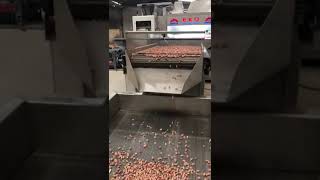 nutroaster, nutroastingmachine, singlebeltnutsroastingmachine