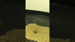 coffee roaster, coffee roasting machine, roasting machine, automatic coffee roaster