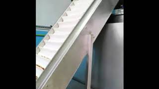 salting machine, automatic salting machine, nutsroastingmachine