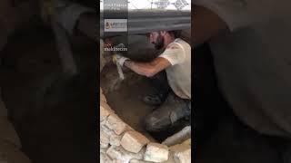 Simit Poğaça Fırını