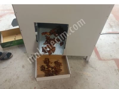 Hurma ve Zeytin Cekirdek Ayirma Makinesi