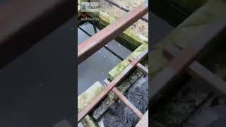 Biyolojik Atıksu Arıtma Tesisi