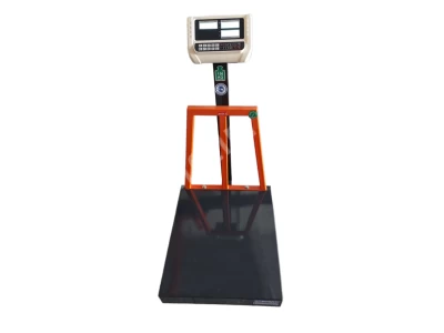 Elektronik Baskül