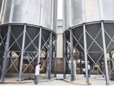 500 Tonluk Konik Tabanlı Çelik Silo