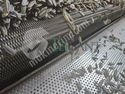 | Telbant Aş | İmalatçıdan Kuruyemiş Kavurma Makinaları İçin Tel Bant
