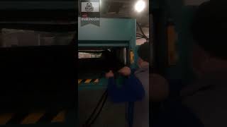 Sünger ve Eva Kesim Presi