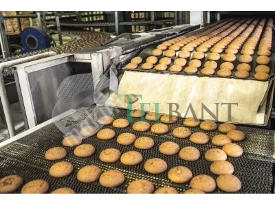 | Telbant Aş | İmalatçıdan Üretim Hatları İçin Çok Amaçlı Tel Bant