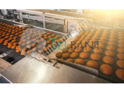 | Telbant Aş | İmalatçıdan Üretim Hatları İçin Çok Amaçlı Tel Bant