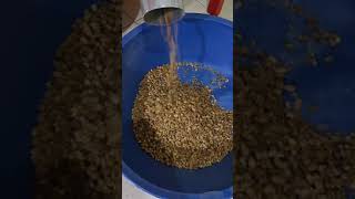 Sortex A1 Renk Ayrıştırıcı