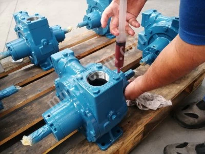 Lpg Pompa Revize Parçaları