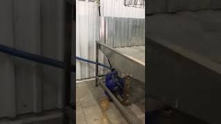 En Kelepir Tavuk, Kaz, Ördek Kesimhanesi