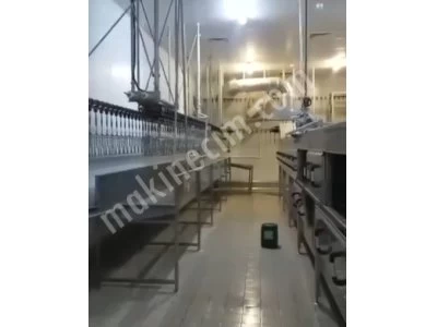 En Kelepir Tavuk, Kaz, Ördek Kesimhanesi