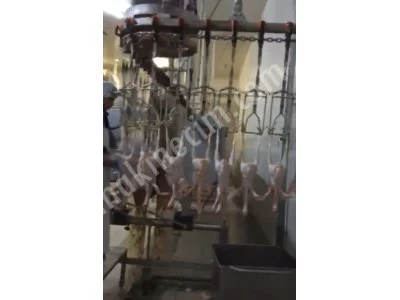 En Kelepir Tavuk, Kaz, Ördek Kesimhanesi