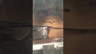 Eterna Kesim Ayıklamalı 120*165 Ebatında