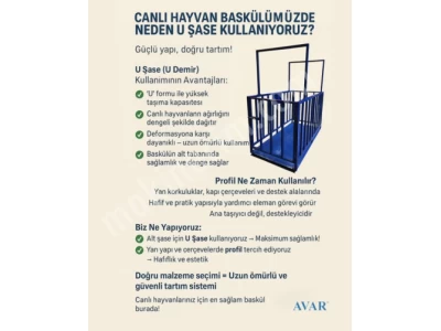 Avar-M - Canlı Hayvan Tartım Baskülü