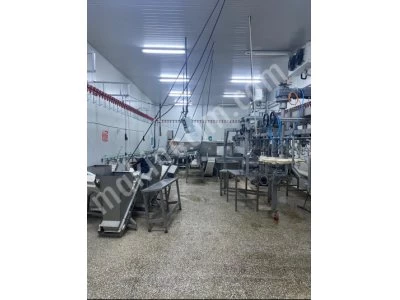 Kanatlı/ Tavuk Kesimhanesi