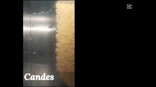 Powder Filling Machine