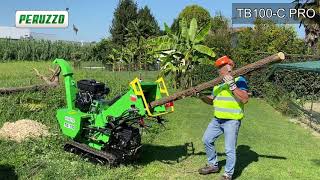 Tb 100 C Pro Odun Parçalayıcı