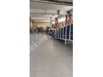 Tortilla Lavaş Üretim Makinesi