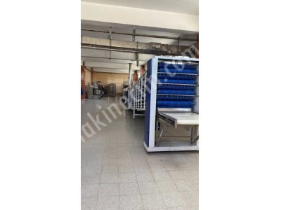 Tortilla Lavaş Üretim Makinesi