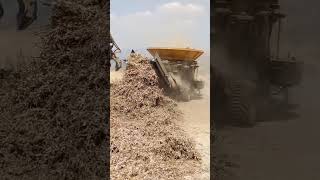 Wood Chipper Shredding Machines For Sale