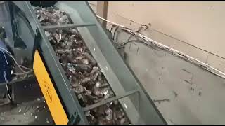 Fast Pet Bottle Crushing and Cleaning