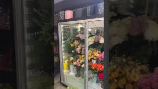 Canlı Çiçek Deposu Çiçek Dolabı