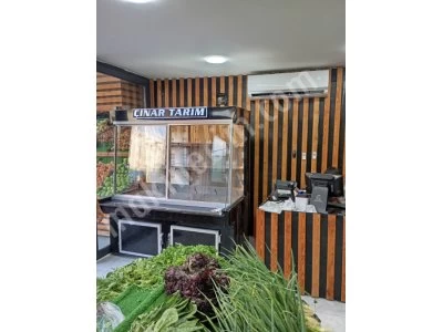 Reyon Plazma