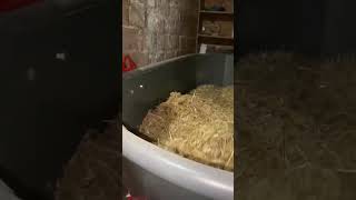 2 Metreküp Çekilir Tip Elektirikli Yem Karma Makinesi