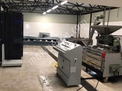 Olive Oil Production Prosess