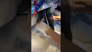 Ayakkabı Yıkama Makinesi Ayakkabı Kurutma Makinesi