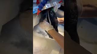 Shoe Washing Machine Shoe Drying Machine