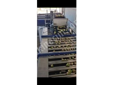 Sizing Machine For Vegetables and Fruits Such As Carrots, Radishes, Potatoes, Onions, Lemons, Etc