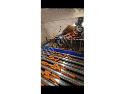 Sizing Machine For Vegetables and Fruits Such As Carrots, Radishes, Potatoes, Onions, Lemons, Etc