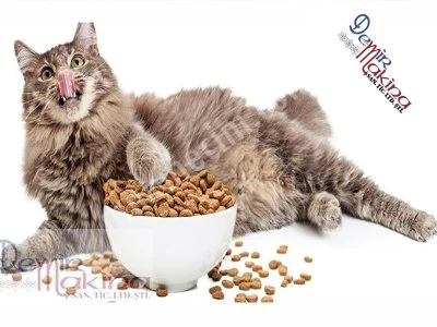 Kedi Maması Üretim Makinesi
