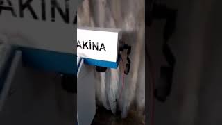 Yüksek Hızlı Pvc Conta Üretim Extruder