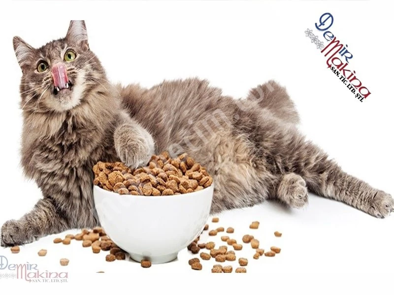 Pet Maması İçin Hijyenik Ekstrüzyon Makinası