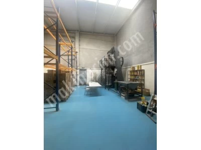 10 Kefeli Kuruyemiş Bakliyat 10 Gr -5 Kg Paketleme Makinesi