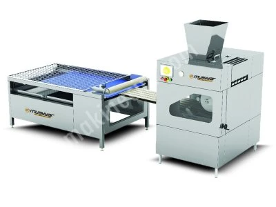Roll Line / Mrh