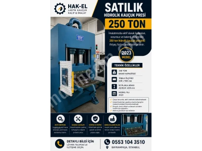 250 Ton Kauçuk-Silikon Presi | 600×900 | Üretime Hazır