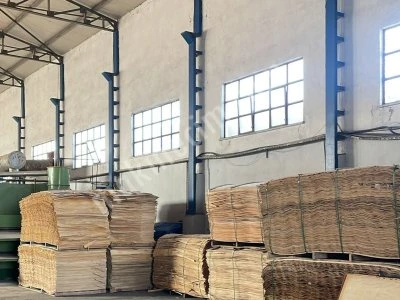 10 Gözlü Papel/Kaplama Ağaç Kurutma Fırını