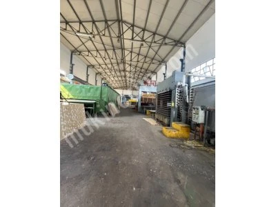 10 Gözlü Papel/Kaplama Ağaç Kurutma Fırını