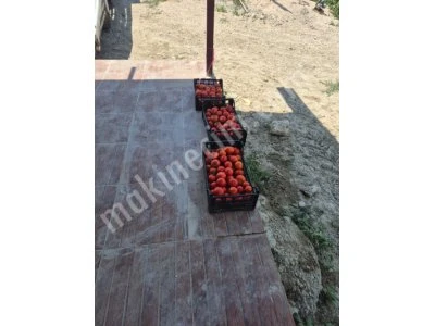Domates Salça Pişirme Kazanı