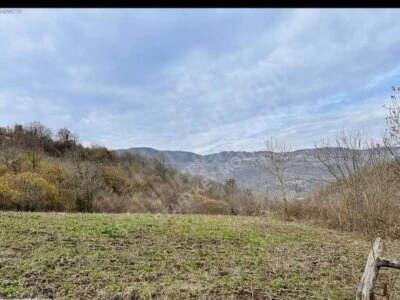 Doğa Harikası Yaşam Merkezi