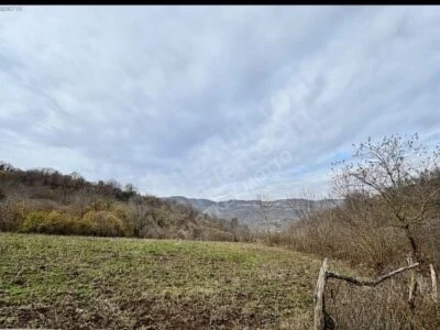 Doğa Harikası Yaşam Merkezi