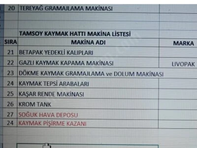 Kaymak Üretim Hattı
